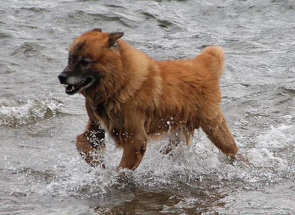 med_Badesaison.jpg (600 x 437)